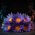 Modrý Lotus - Květy EMFORIA (